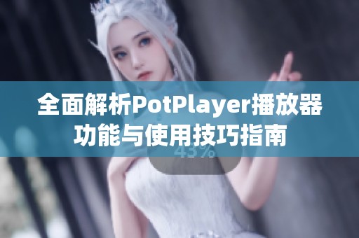 全面解析PotPlayer播放器功能与使用技巧指南