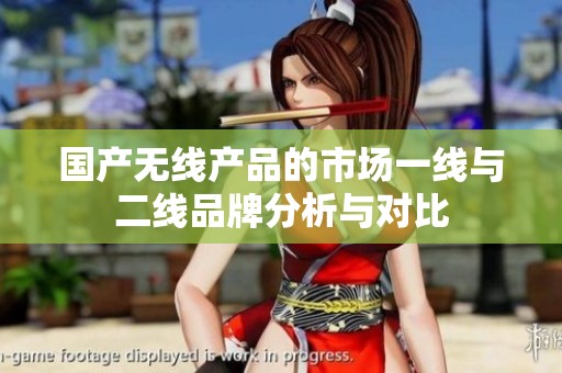 国产无线产品的市场一线与二线品牌分析与对比