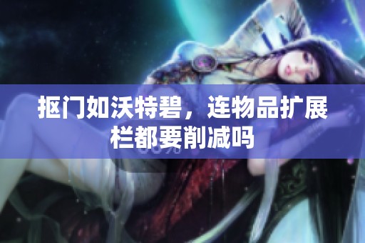 抠门如沃特碧，连物品扩展栏都要削减吗