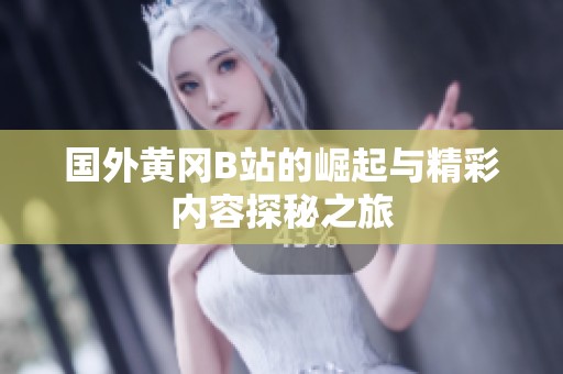 国外黄冈B站的崛起与精彩内容探秘之旅