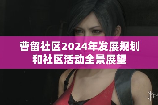 曹留社区2024年发展规划和社区活动全景展望