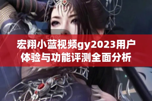 宏翔小蓝视频gy2023用户体验与功能评测全面分析
