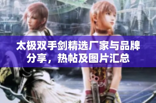 太极双手剑精选厂家与品牌分享，热帖及图片汇总