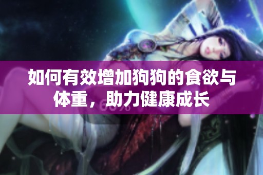 如何有效增加狗狗的食欲与体重，助力健康成长