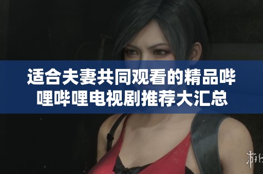 适合夫妻共同观看的精品哔哩哔哩电视剧推荐大汇总