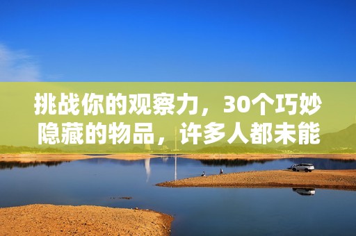 挑战你的观察力，30个巧妙隐藏的物品，许多人都未能发现