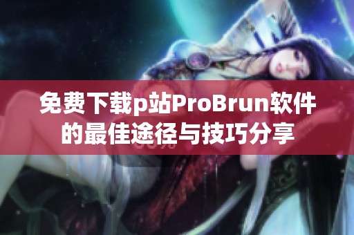 免费下载p站ProBrun软件的最佳途径与技巧分享