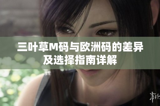 三叶草M码与欧洲码的差异及选择指南详解