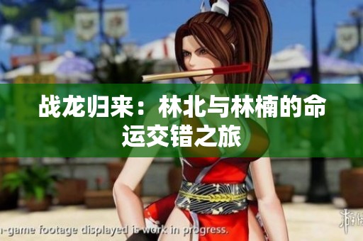 战龙归来：林北与林楠的命运交错之旅