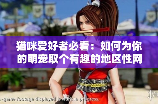 猫咪爱好者必看：如何为你的萌宠取个有趣的地区性网名