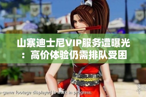 山寨迪士尼VIP服务遭曝光：高价体验仍需排队受困