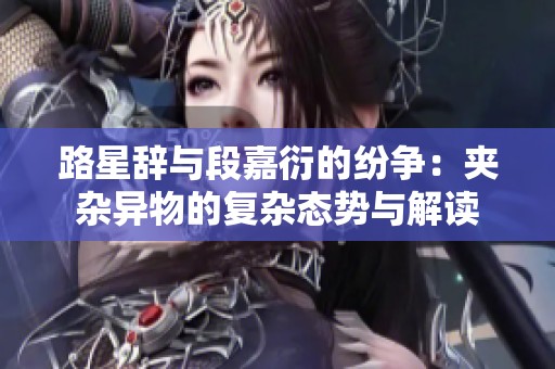 路星辞与段嘉衍的纷争：夹杂异物的复杂态势与解读