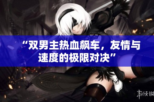 “双男主热血飙车，友情与速度的极限对决”