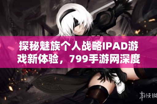 探秘魅族个人战略IPAD游戏新体验，799手游网深度解析