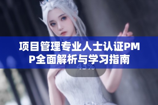 项目管理专业人士认证PMP全面解析与学习指南