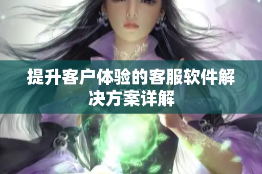 提升客户体验的客服软件解决方案详解