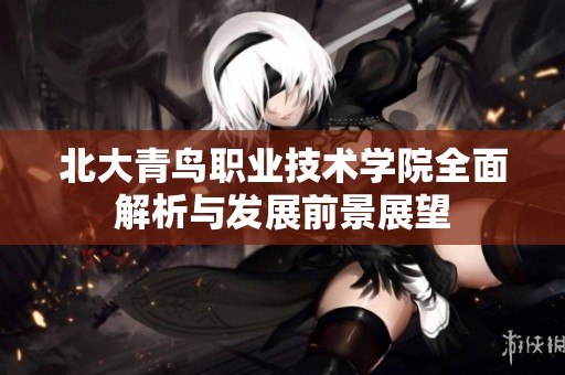 北大青鸟职业技术学院全面解析与发展前景展望