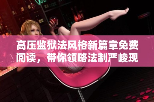 高压监狱法风格新篇章免费阅读，带你领略法制严峻现实