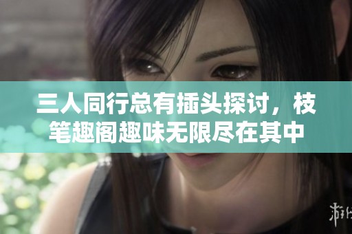 三人同行总有插头探讨，枝笔趣阁趣味无限尽在其中