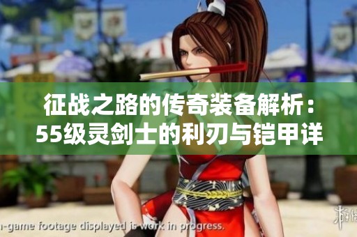 征战之路的传奇装备解析：55级灵剑士的利刃与铠甲详解