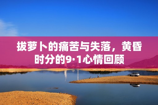 拔萝卜的痛苦与失落，黄昏时分的9·1心情回顾