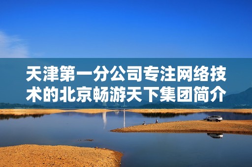 天津第一分公司专注网络技术的北京畅游天下集团简介