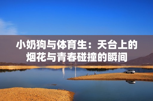 小奶狗与体育生：天台上的烟花与青春碰撞的瞬间