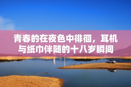 青春的在夜色中徘徊，耳机与纸巾伴随的十八岁瞬间