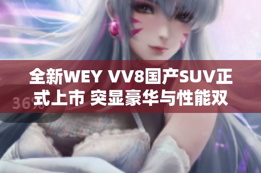 全新WEY VV8国产SUV正式上市 突显豪华与性能双重魅力
