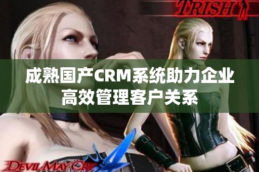 成熟国产CRM系统助力企业高效管理客户关系