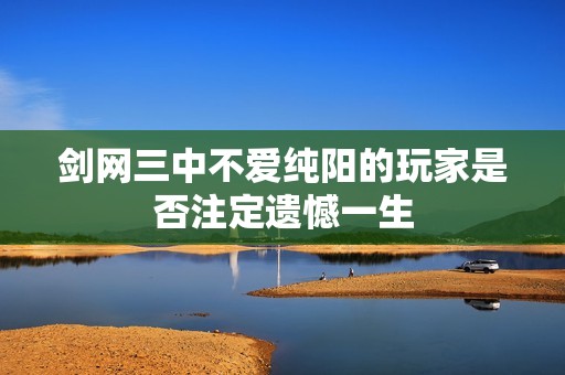 剑网三中不爱纯阳的玩家是否注定遗憾一生