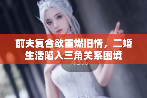 前夫复合欲重燃旧情，二婚生活陷入三角关系困境