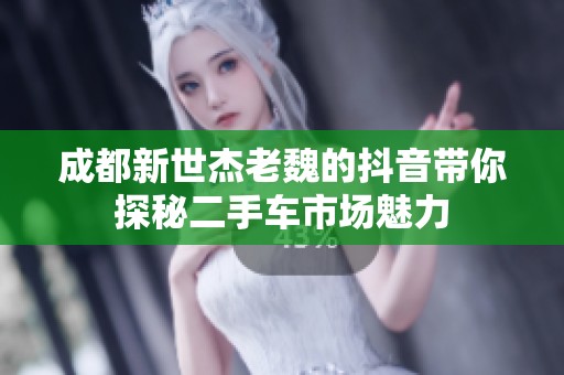 成都新世杰老魏的抖音带你探秘二手车市场魅力