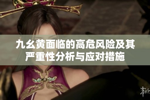 九幺黄面临的高危风险及其严重性分析与应对措施
