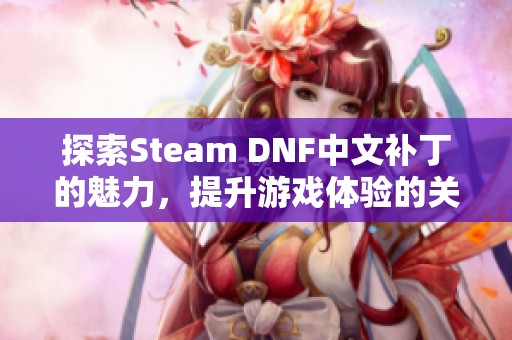 探索Steam DNF中文补丁的魅力，提升游戏体验的关键所在