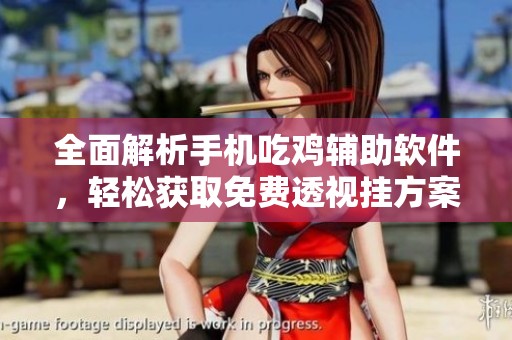 全面解析手机吃鸡辅助软件，轻松获取免费透视挂方案
