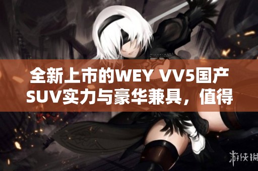 全新上市的WEY VV5国产SUV实力与豪华兼具，值得期待