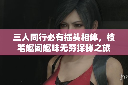 三人同行必有插头相伴，枝笔趣阁趣味无穷探秘之旅