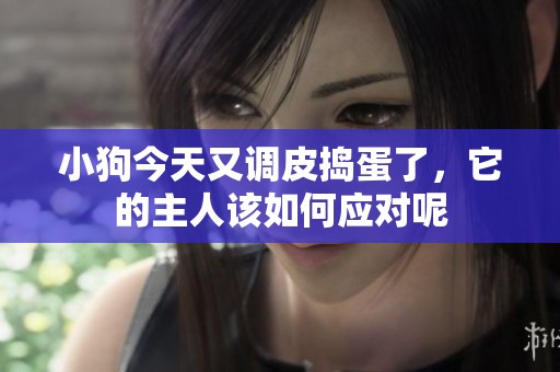 小狗今天又调皮捣蛋了，它的主人该如何应对呢