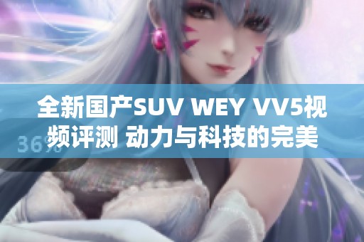 全新国产SUV WEY VV5视频评测 动力与科技的完美结合