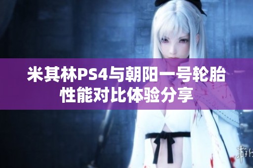 米其林PS4与朝阳一号轮胎性能对比体验分享