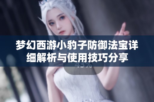 梦幻西游小豹子防御法宝详细解析与使用技巧分享