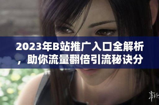 2023年B站推广入口全解析，助你流量翻倍引流秘诀分享