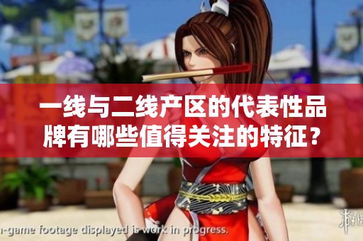 一线与二线产区的代表性品牌有哪些值得关注的特征？