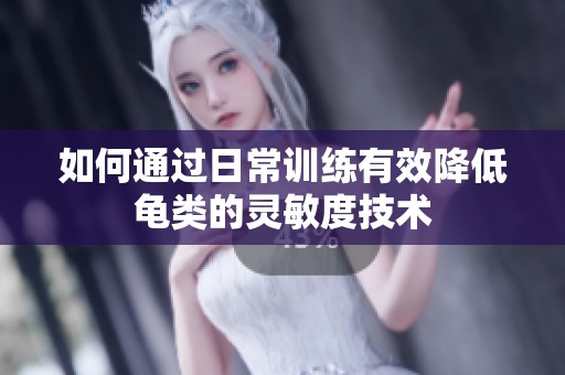 如何通过日常训练有效降低龟类的灵敏度技术