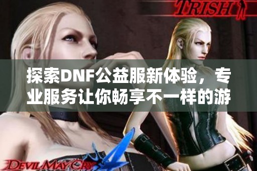 探索DNF公益服新体验，专业服务让你畅享不一样的游戏乐趣
