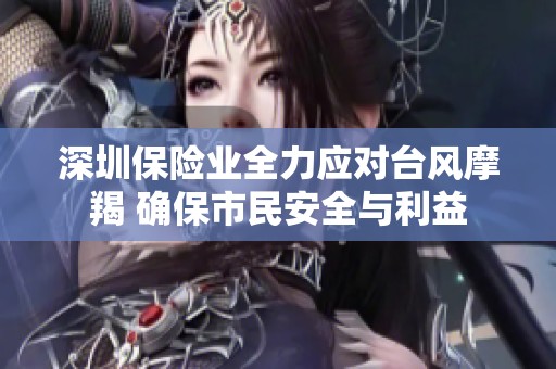 深圳保险业全力应对台风摩羯 确保市民安全与利益