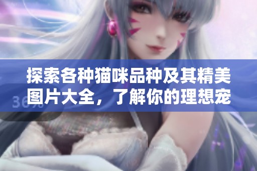 探索各种猫咪品种及其精美图片大全，了解你的理想宠物选择