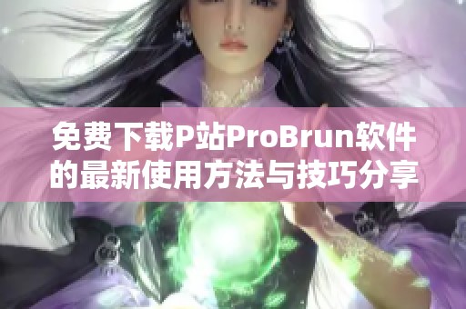 免费下载P站ProBrun软件的最新使用方法与技巧分享