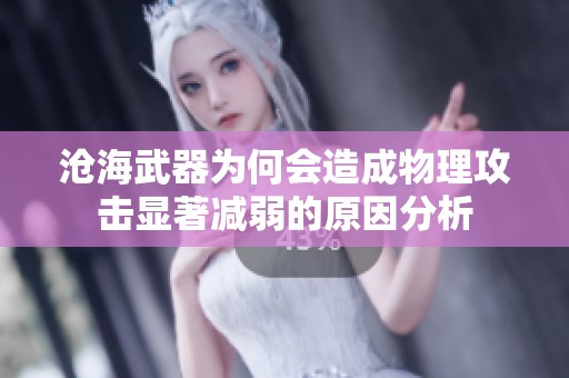 沧海武器为何会造成物理攻击显著减弱的原因分析